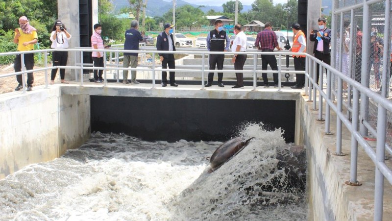 New floodgate hoped to prevent flooding in Chalong