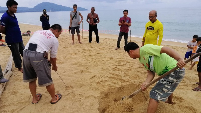 Turtle tracks found on Phuket beach, but no nest