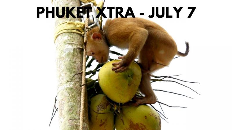 PHUKET XTRA: VIDEO: Monkeys & coconuts making people go bananas! Doomed Phoenix boat, 2 years later || July 7