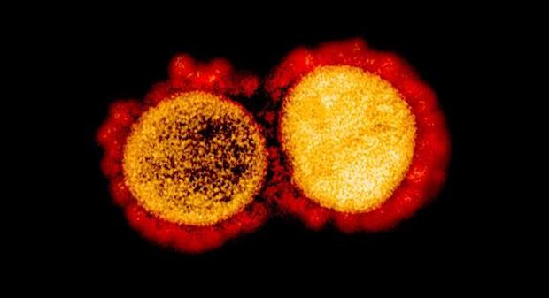 Southeast Asia detects mutated virus strain sweeping the world