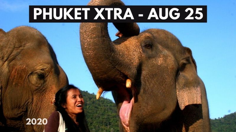 PHUKET XTRA: VIDEO: Hungry elephant concerns as Phuket tourists gone! Thailand emergency extended? || August 25