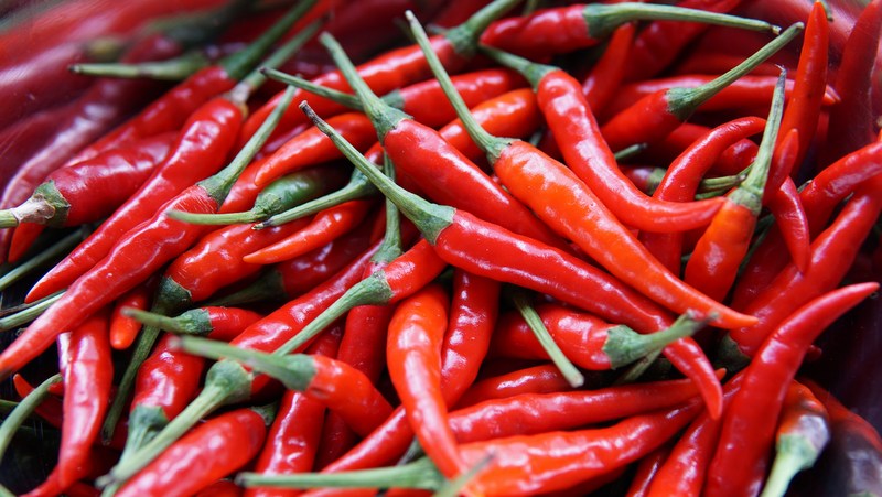 Patong Municipality to hold ‘chilies for plastic bottles’ exchange