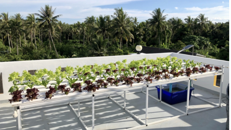 Skål Krabi inaugurates first rooftop ‘Community Farm’