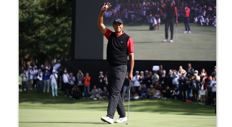 Tiger and Sherwood are a perfect match