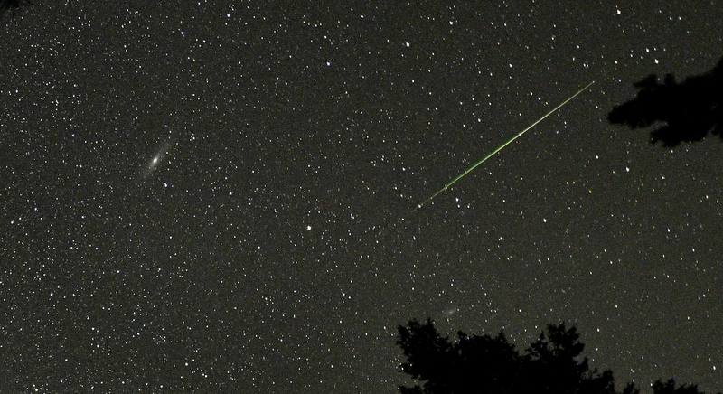 Stargazers delight as Orionid meteor shower hits peak