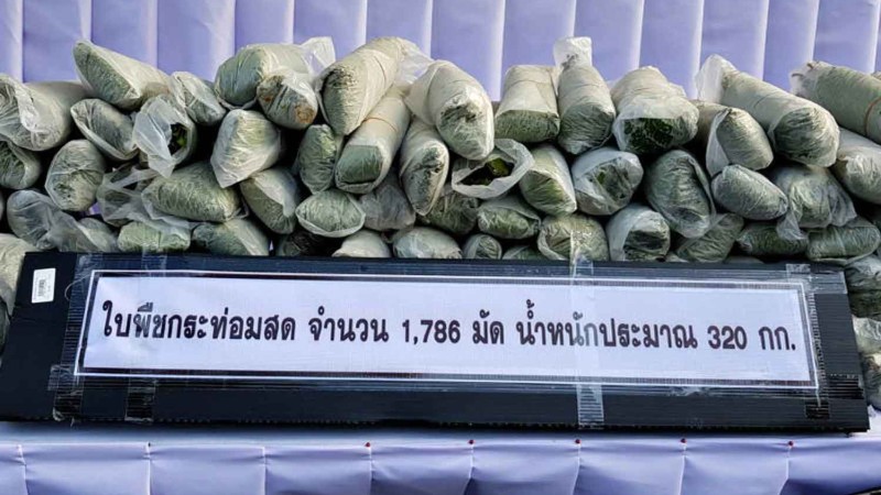 Cocaine, morphine, opium still illicit drugs, minister warns