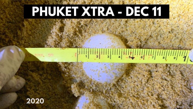 PHUKET XTRA: VIDEO: Push to repeal lese majeste laws goes to UN? Nightclub responds after raid! || December 11