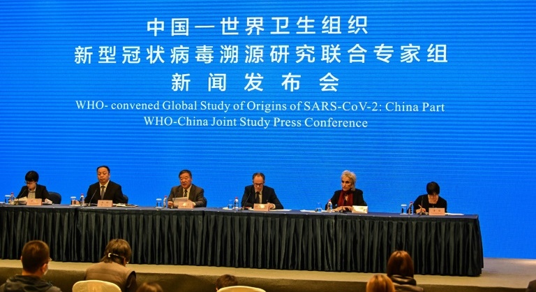 COVID origins still a mystery as WHO-China probe ends