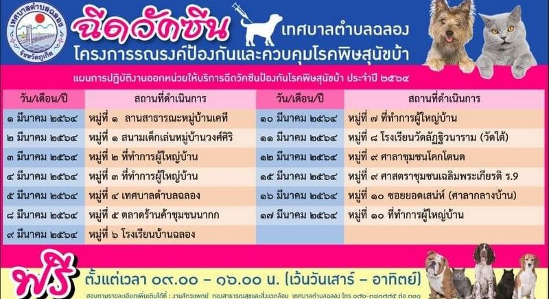 Free rabies vaccination campaign launching in Chalong