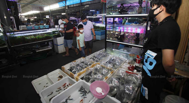 Dept slams claims virus came from Thailand
