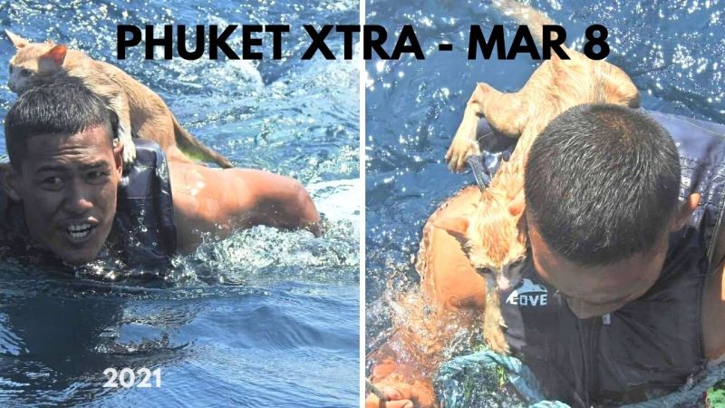 PHUKET XTRA: VIDEO: Navy awarded for kitten rescue || March 8