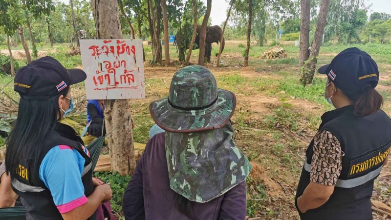 Hard times for owner of elephant that killed tourist
