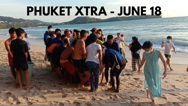 PHUKET XTRA: VIDEO: Oil-covered sperm whale rescued |:| June 18