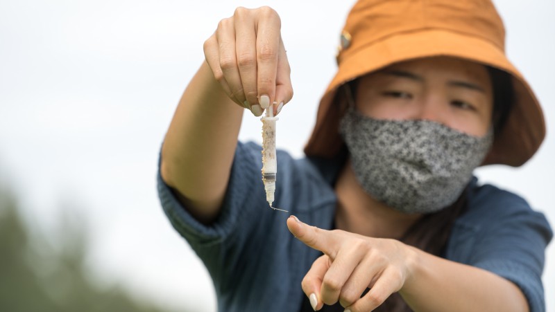 Beach cleanup finds syringe, oil-smothered ropes