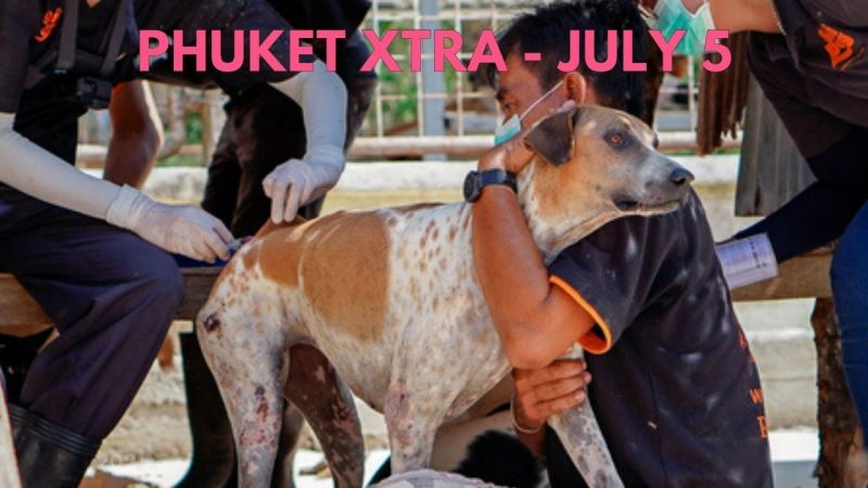 PHUKET XTRA: VIDEO: Prime Minister in quarantine, Volunteers & Soi Dog ask for Phuket dog shelter to reopen |:| July 6