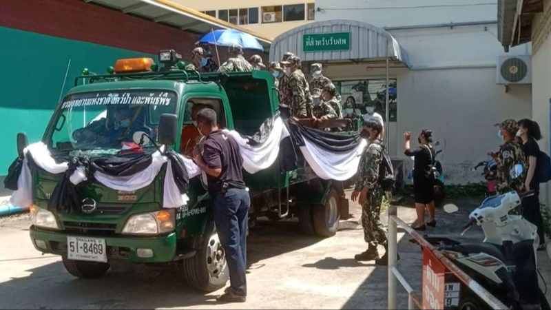 Forest ranger killed in gaur attack in Khao Yai