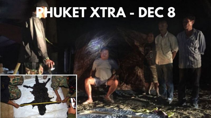 PHUKET XTRA: VIDEO: Black panther soup & illegal hunting gets construction tycoon 3 years in prison || December 8