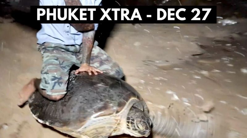PHUKET XTRA: VIDEO: Thai health officials outline best/worst-case COVID scenarios, Turtle joy ride || December 27