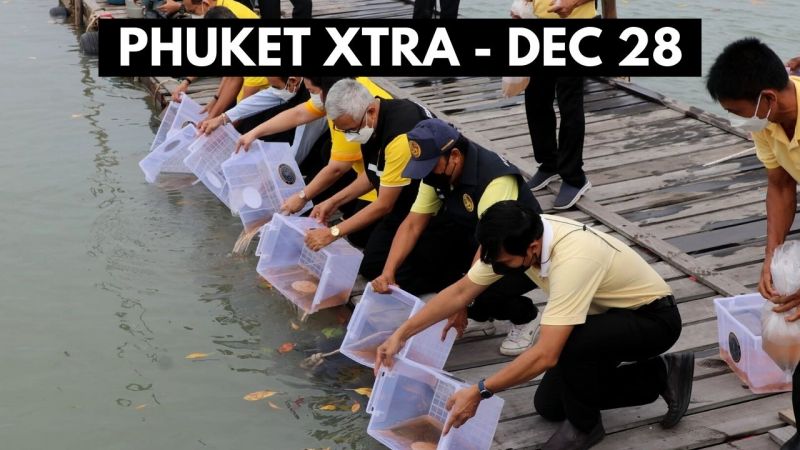 PHUKET XTRA: VIDEO: Omicron alert? Tiger shrimp younglings, E-motorbike taxis for test run || December 28