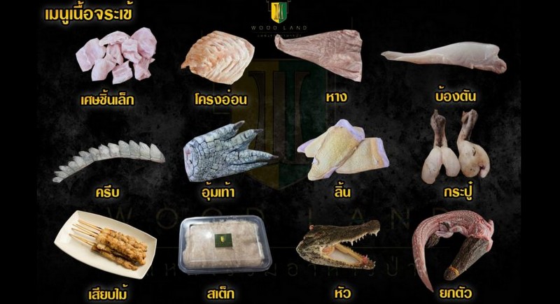 Crocodile goes onto the menu