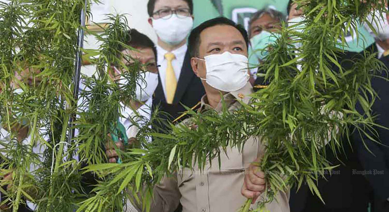 Move to legalise cannabis
