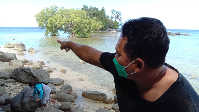 Croc off Bang Tao confirmed to be a coconut tree, but another reported sighting south of Nai Yang
