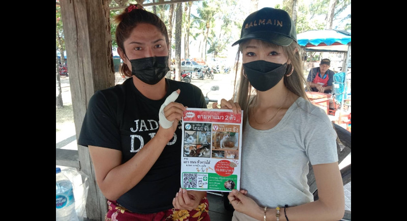Japanese woman posts B30k reward for missing cats