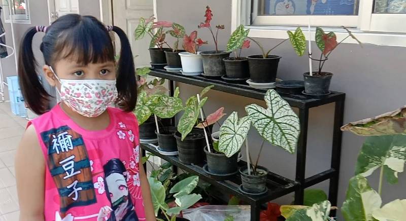 Thief steals young girl’s beloved plants from outside family home