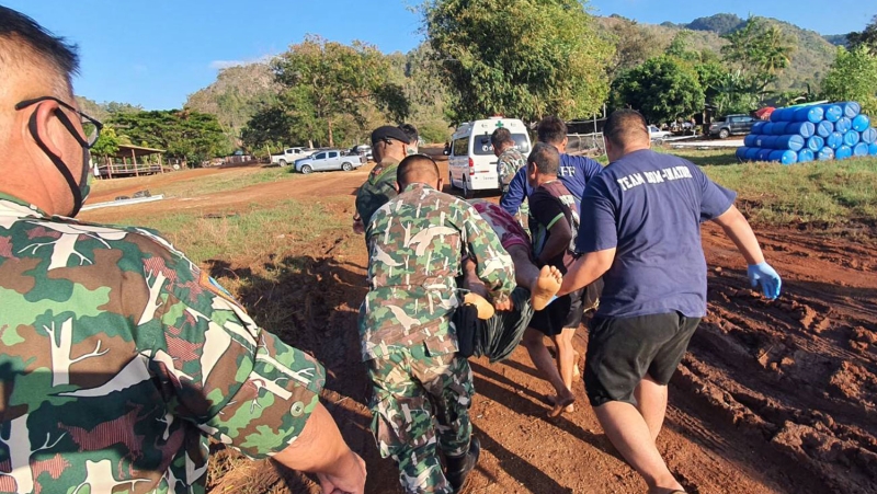Man injured, two dogs killed in tiger attack