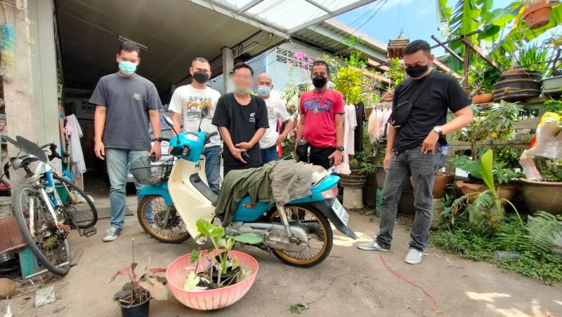 Phuket City Police track down plant bandit