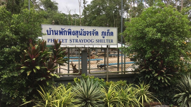 Phuket Stray Dog Shelter running short of food