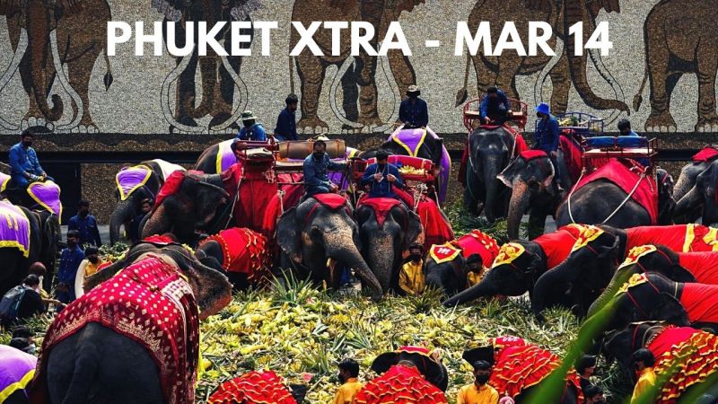 PHUKET XTRA: VIDEO: Fatal car crash involving top cop’s son, Elephant Day buffets, Forest ranger manhunt || March 14