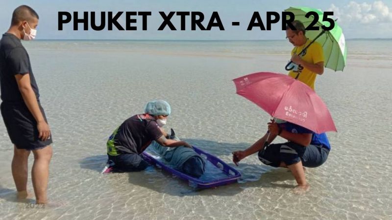 PHUKET XTRA: VIDEO: Patong party hotel closed 15 days, Dolphin rescued at Nai Yang Beach || April 25