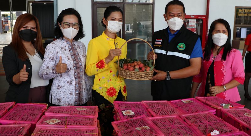 Cooperative sees 2.3 tonnes of lychees hit Phuket