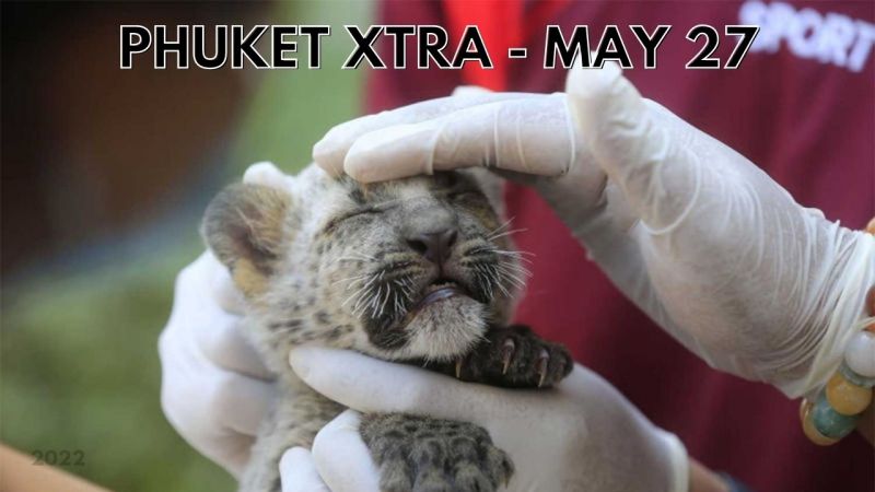 PHUKET XTRA: VIDEO: Corruption gets Phuket mayor sacked, Thailand struggles to feed 26k rescued animals || May 27