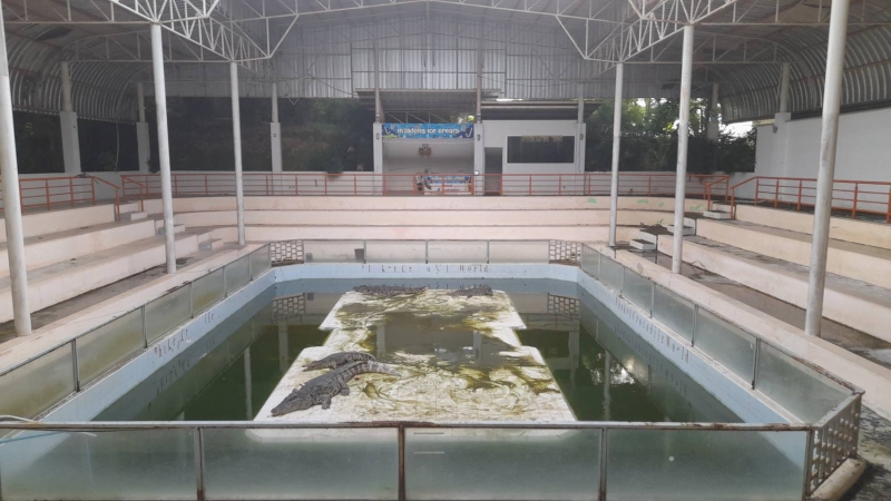 Crocodiles not starving at Phuket tourist attraction, officials confirm