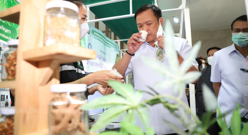 Pot policy ‘won’t be axed’