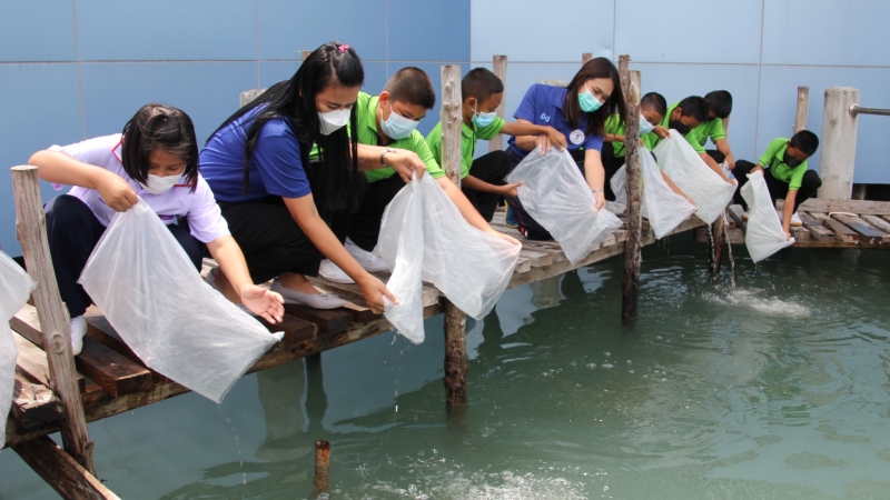 500,000 baby shrimp released for Queen Sirikit’s birthday
