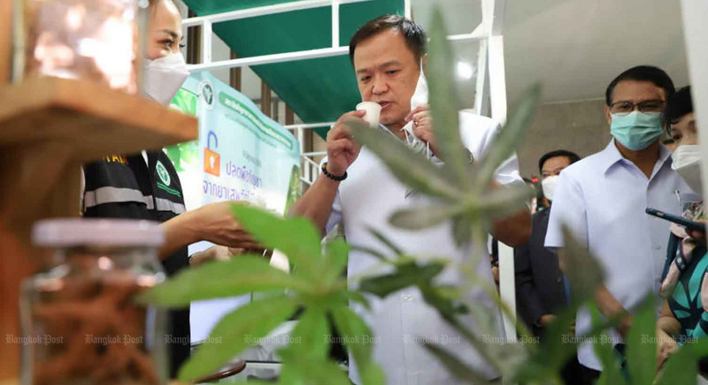 Malaysia eyes Thai weed policy