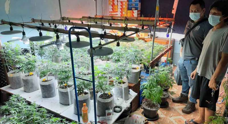 New bill outlines limits on ganja use