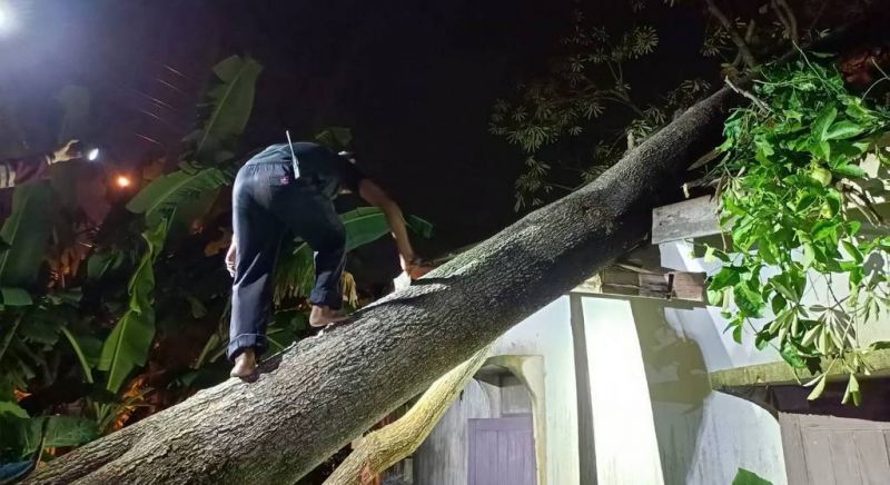 Karon woman uninjured as tree crashes into home