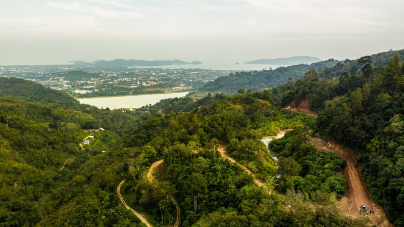 Phuket Opinion: Money Road