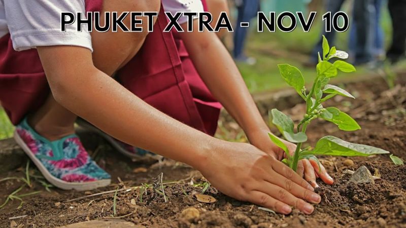 PHUKET XTRA: VIDEO: Mass tree planting plans, Driving into Patong, Inspector Beagle || November 10