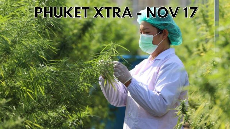 PHUKET XTRA: VIDEO: Cannabis rules tweaked, Phuketian lottery winner, Parrot fish, World Cup loan? || November 17