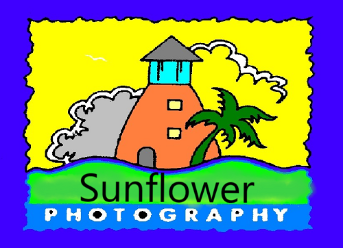 Photo Sales Promotion position