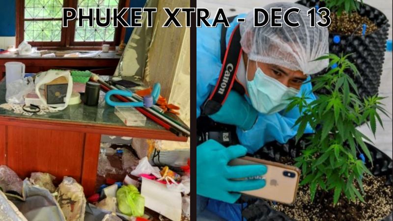 PHUKET XTRA: VIDEO: Patong thieves wanted for ransacking house, Cannabis bill 2nd reading || December 13