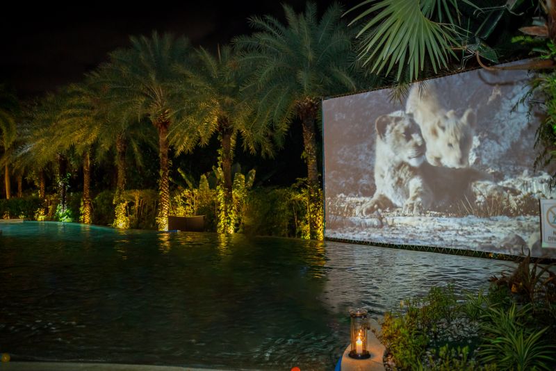 Dive-in Movie Night at Firefly