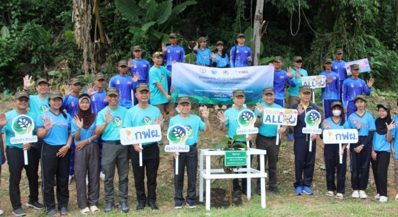 Reforestation project launches in Rawai