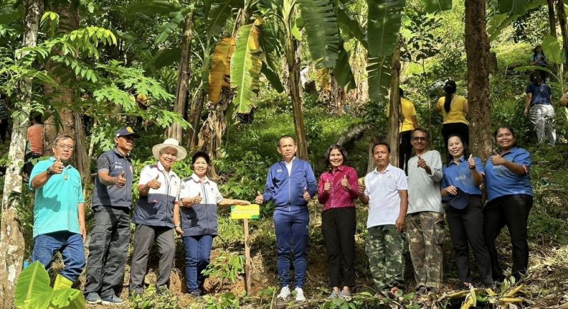 Durian farming expansion continues in Chalong