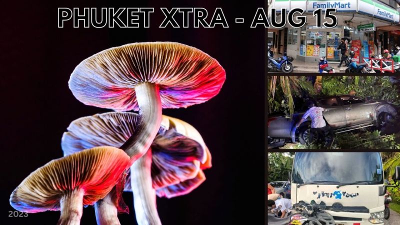 PHUKET XTRA: VIDEO: Medicinal mushrooms approved for trials, Phuket tourist in ATV collides with bus || August 15